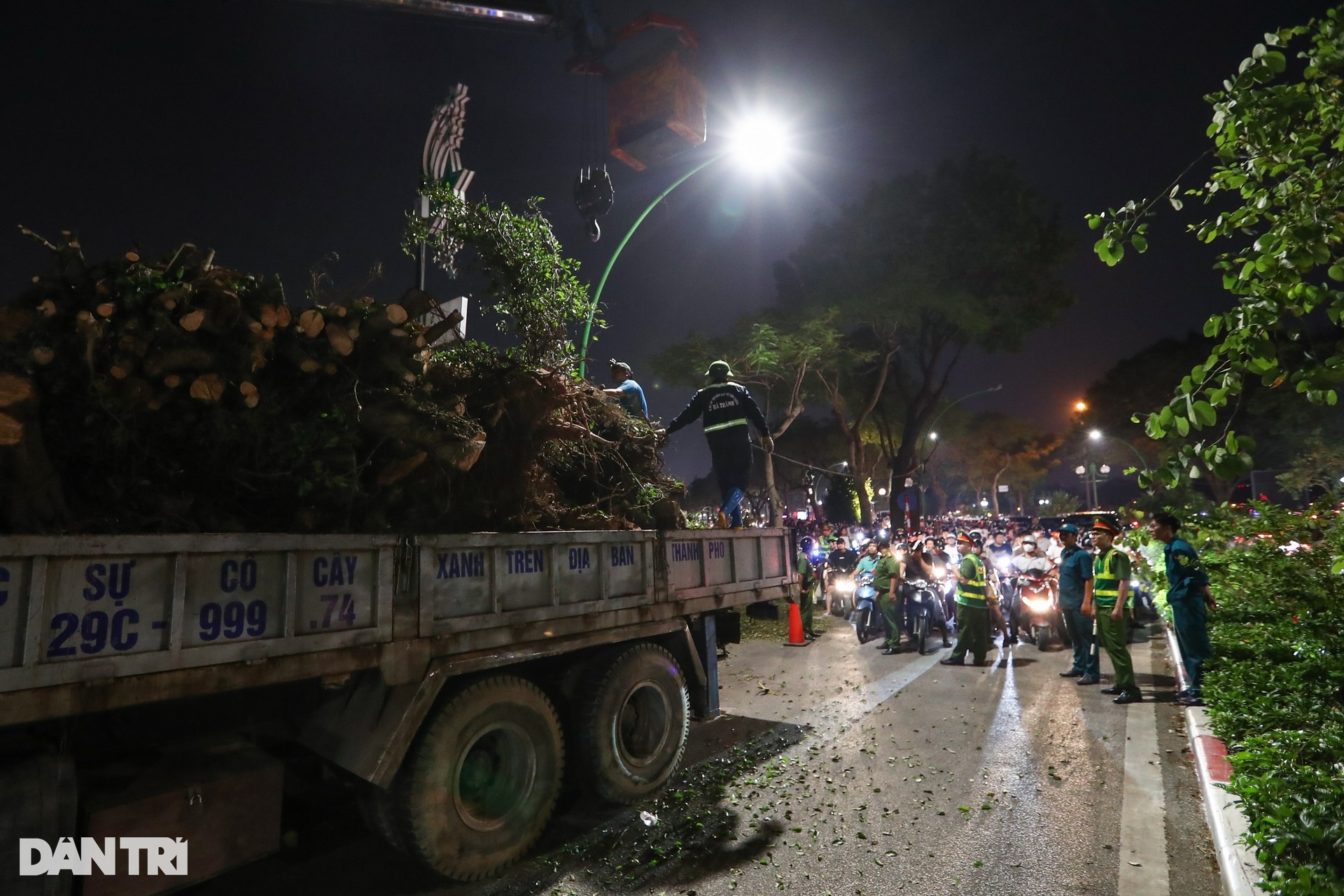 Đội tinh nhuệ từ các địa phương xuyên đêm dọn dẹp cây xanh hỗ trợ Hà Nội - 11