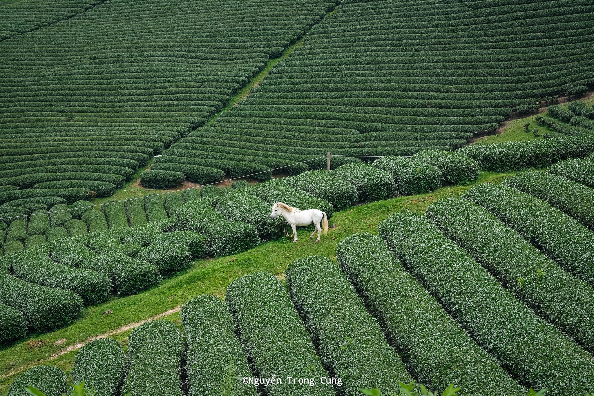 Không có mô tả ảnh.