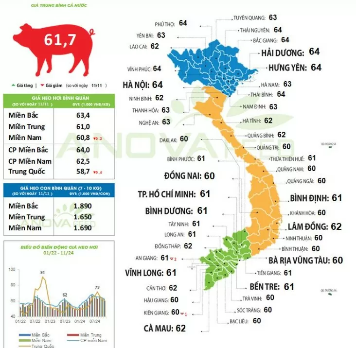 Giá heo hơi hôm nay 13/11/2024: Giảm nhẹ tại miền Nam 1.000 - 2.000 đồng/kg