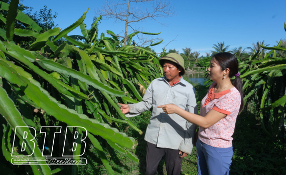 Thái Thụy: Hỗ trợ nông dân phát triển kinh tế