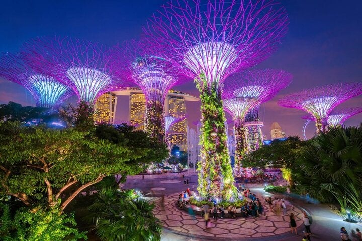 Gardens By The Bay.