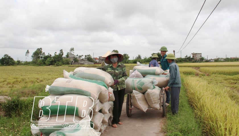 Kỳ II: Nhận diện những khó khăn