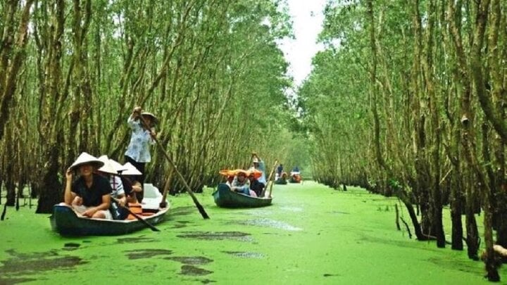 Khu du lịch sinh thái Cần Giờ.