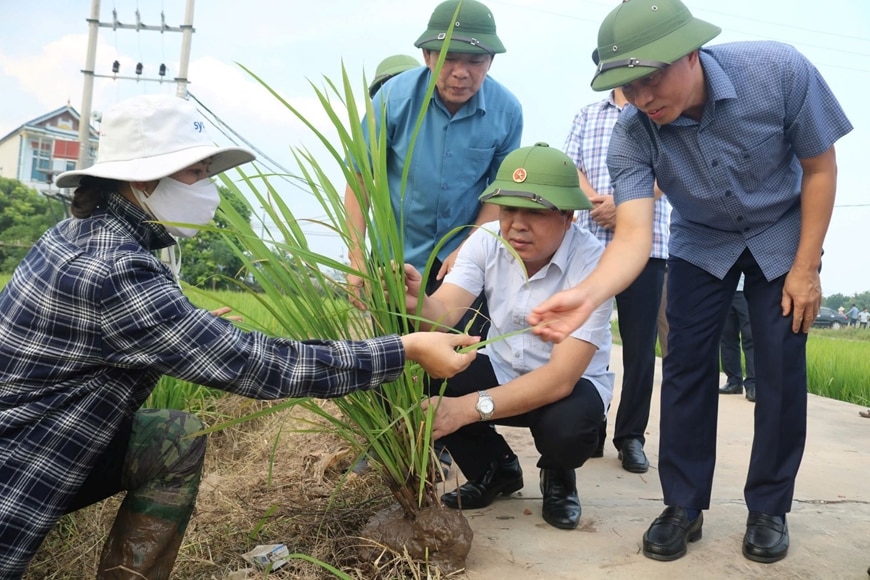 Thái Bình và những nghị quyết “mở đường” phát triển-Bài 4: Dấu ấn từ “khâu then chốt”