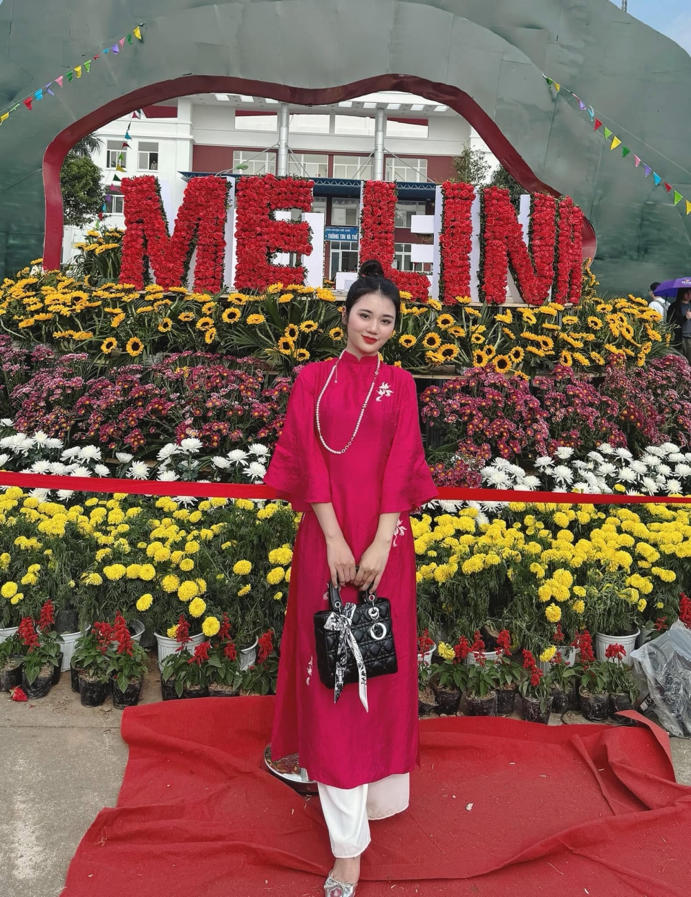 Du khách thưởng ngoạn festival hoa Mê Linh