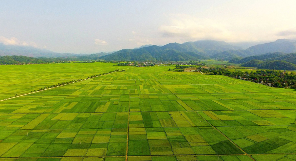 Cánh đồng Mường Thanh nổi tiếng qua câu nói “nhất Thanh, nhì Lò, tam Than, tứ Tấc”.