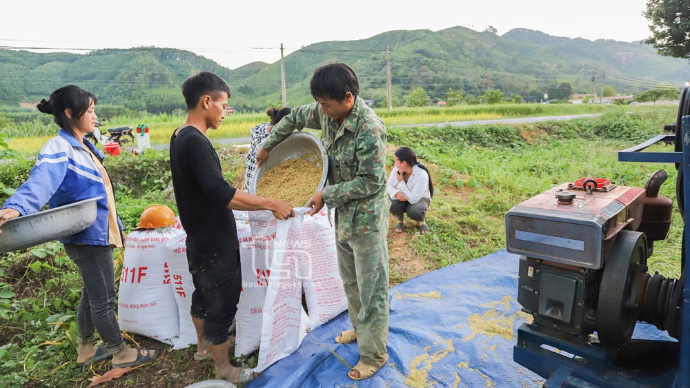 Nhiều người dân tộc Mông xóm Cây Hồng, xã Lâu Thượng từ bỏ tà đạo, phát triển kinh tế, giảm nghèo