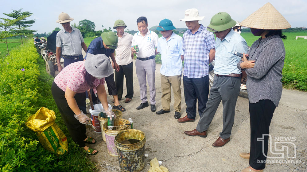 Người dân xã Úc Kỳ (Phú Bình) pha loãng dung dịch phân bón lá theo hướng dẫn của cán bộ khuyến nông để phun tưới cho cây trồng.