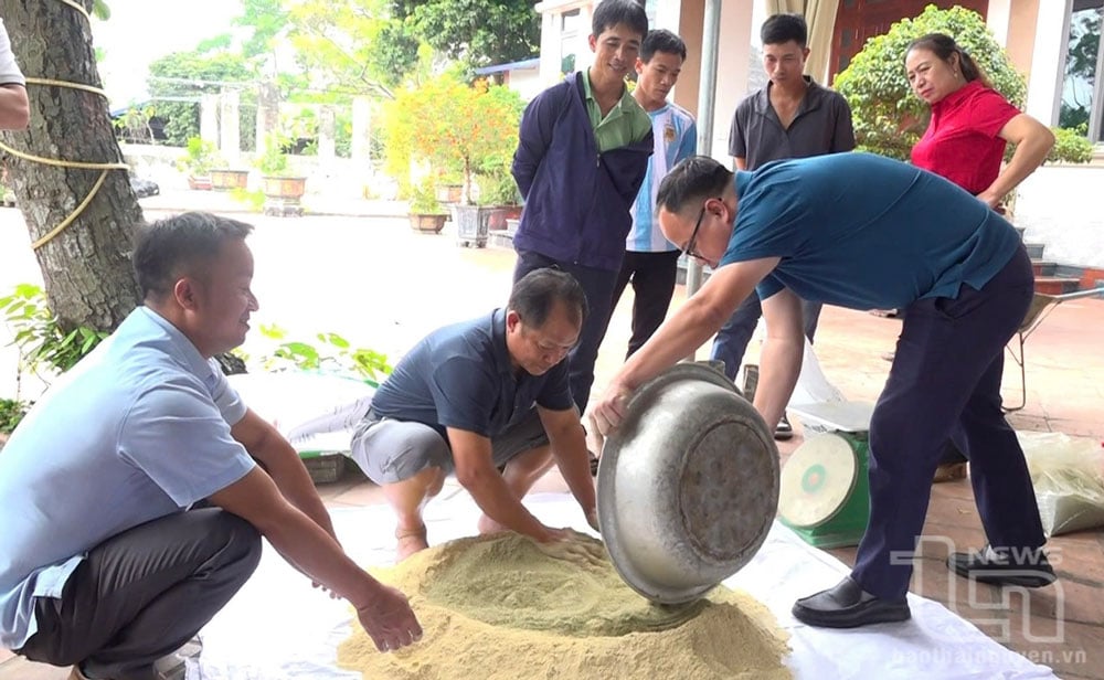 Cán bộ Phòng Kinh tế TP. Sông Công và giảng viên Trường Đại học Nông lâm Thái Nguyên pha trộn mẫu cám chăn lợn, với tỷ lệ bột chè xanh là 3%.