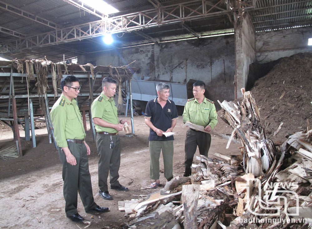 Tận dụng vỏ cây lâm nghiệp, nhiều doanh nghiệp trên địa bàn huyện Phú Lương đã nghiền, ép thành viên than xuất khẩu đi nhiều nước.