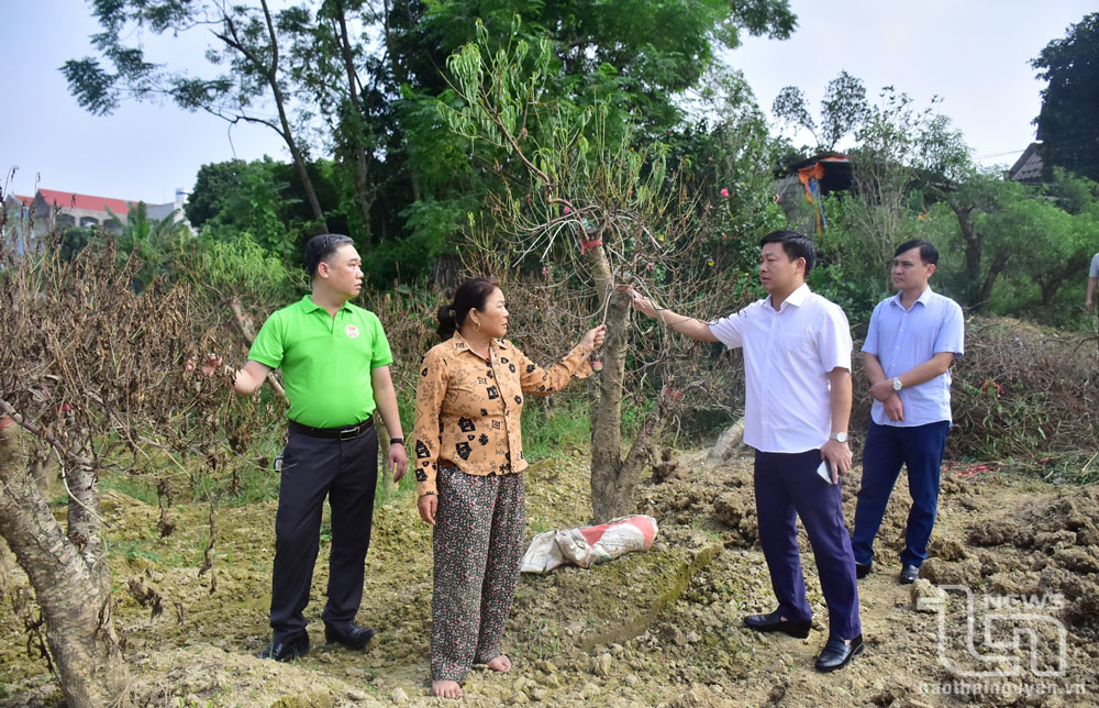 Lãnh đạo Hội Nông dân tỉnh đến thăm, tặng quà, động viên gia đình bà Phùng Thị Minh Hồng, ở tổ 4, phường Cam Giá (TP. Thái Nguyên) - là hộ bị thiệt hại khá nặng do mưa lũ.