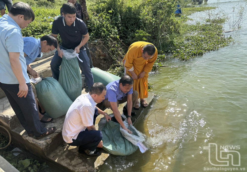 Lãnh đạo Sở Nông nghiệp và PTNT và các đơn vị liên quan tham gia thả cá xuống hồ Núi Cốc để tái tạo nguồn lợi thủy sản.