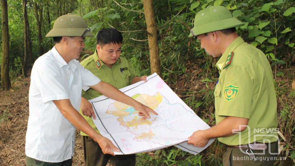 Ông Nguyễn Trung Hiếu (áo trắng), Trưởng xóm Phúc Lẩm, xã Tiên Hội (Đại Từ), được kết nạp Đảng từ năm 2021, thường xuyên tham gia tuần tra bảo vệ rừng trên địa bàn cùng với lực lượng Kiểm lâm huyện.