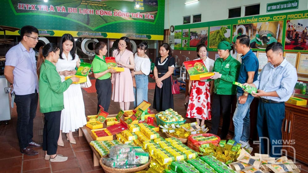 Khách du lịch tham quan tại Hợp tác xã Trà và Du lịch cộng đồng Tiến Yên, xã Tân Cương (TP. Thái Nguyên).