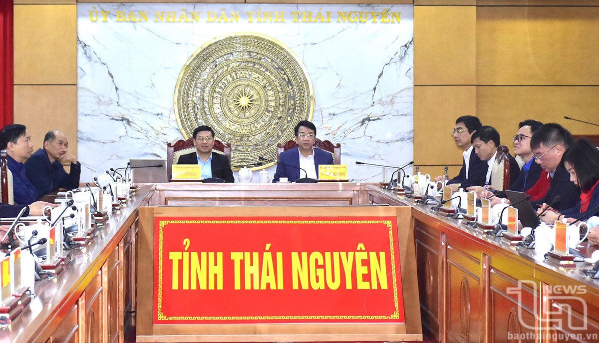 Dự Hội nghị tại điểm cầu tỉnh Thái Nguyên có đồng chí Nguyễn Thanh Bình, Phó Chủ tịch UBND tỉnh.