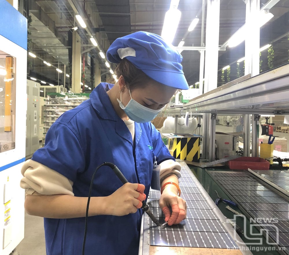 Công ty TNHH Trina Solar Cell (Khu công nghiệp Yên Bình) chuyên sản xuất tấm tế bào quang điện (pin năng lượng mặt trời) với quy mô 560 triệu tấm/năm.