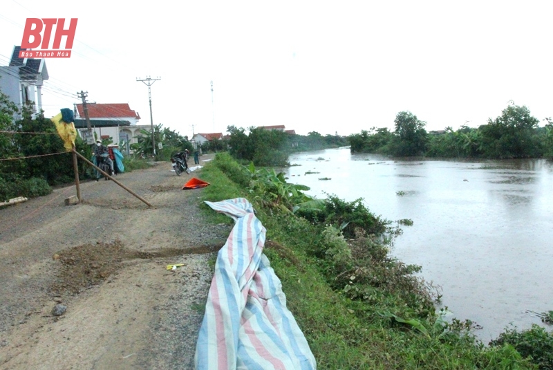 Phó Chủ tịch UBND tỉnh Lê Đức Giang kiểm tra, chỉ đạo xử lý sự cố sụt lún, sạt lở mái đê sông Càn