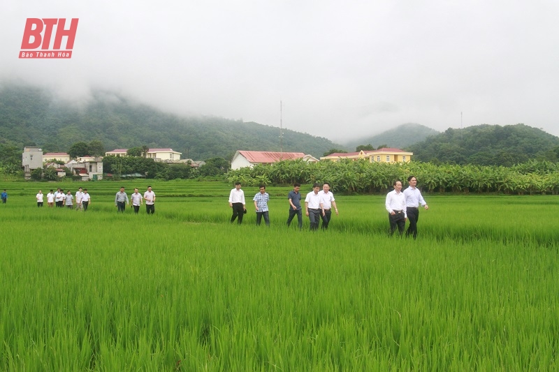 Giám sát việc lãnh đạo, chỉ đạo Chương trình phát triển kinh tế - xã hội khu vực miền núi Thanh Hóa giai đoạn 2021-2025 tại huyện Bá Thước