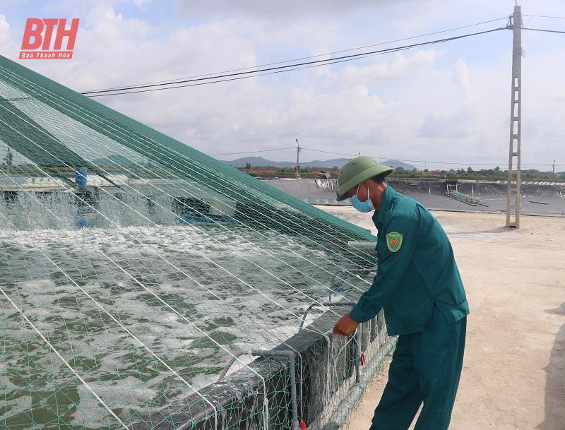 Tăng cường chỉ đạo nuôi trồng thủy sản bảo đảm kế hoạch tăng trưởng