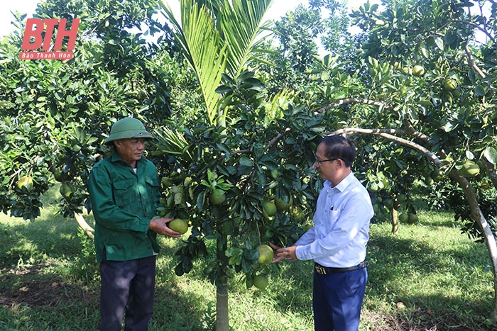 Thiệu Hóa đổi mới, nâng cao hoạt động sản xuất nông nghiệp