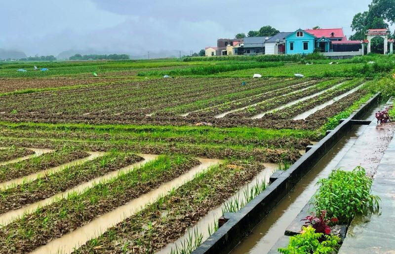 Tình hình thiệt hại và công tác triển khai, ứng phó với mưa lũ trên địa bàn tỉnh Thanh Hóa