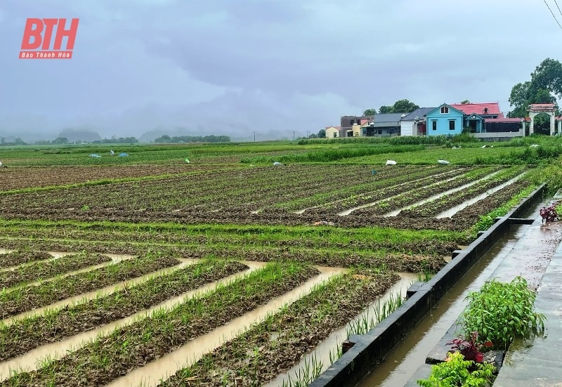 Tình hình thiệt hại và công tác triển khai, ứng phó với mưa lũ trên địa bàn tỉnh Thanh Hóa