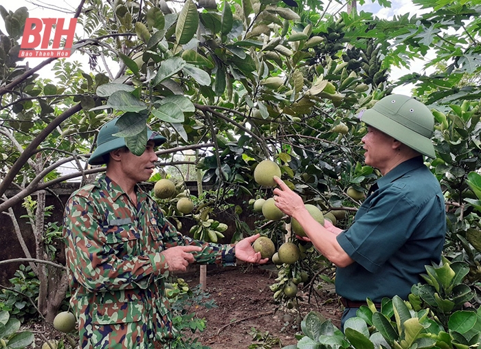 Đồng hành phát triển kinh tế