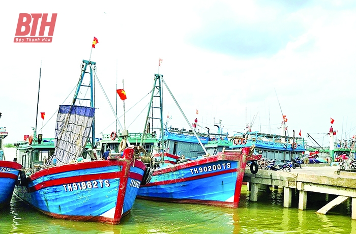 Quản lý chặt tàu cá có nguy cơ vi phạm quy định về chống khai thác IUU