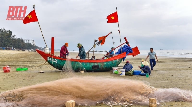 Phấn đấu 100% tàu cá đang hoạt động vùng lộng tham gia tổ đoàn kết sản xuất trên biển