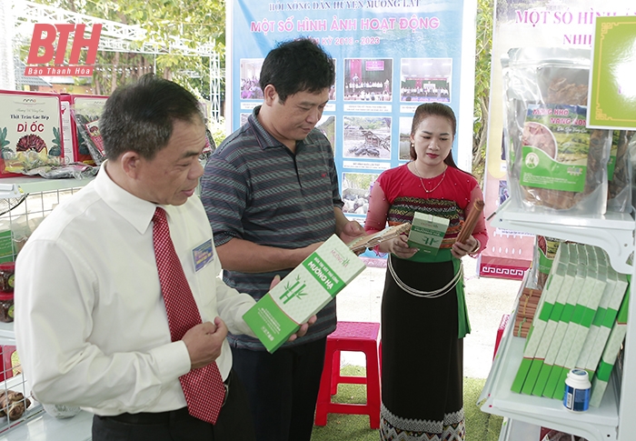 Nghèo giữa vùng tre luồng... lớn nhất Việt Nam (Bài cuối): Loay hoay bài toán nâng cao giá trị