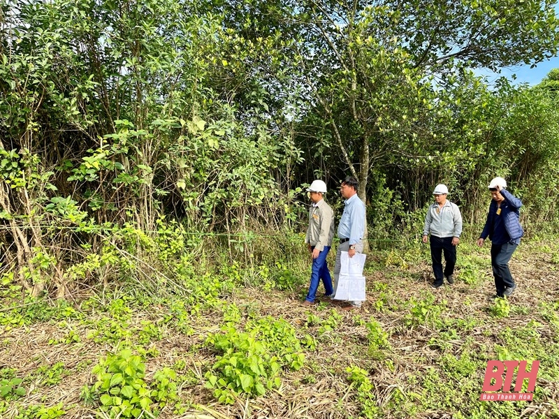 Cưỡng chế thu hồi đất thực hiện Dự án Đầu tư xây dựng và kinh doanh hạ tầng Bắc khu A - Khu Công nghiệp Bỉm Sơn (giai đoạn 2)