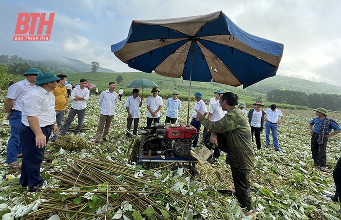 Huy động các nguồn lực thực hiện khâu đột phá về khoa học công nghệ tại Cẩm Thủy