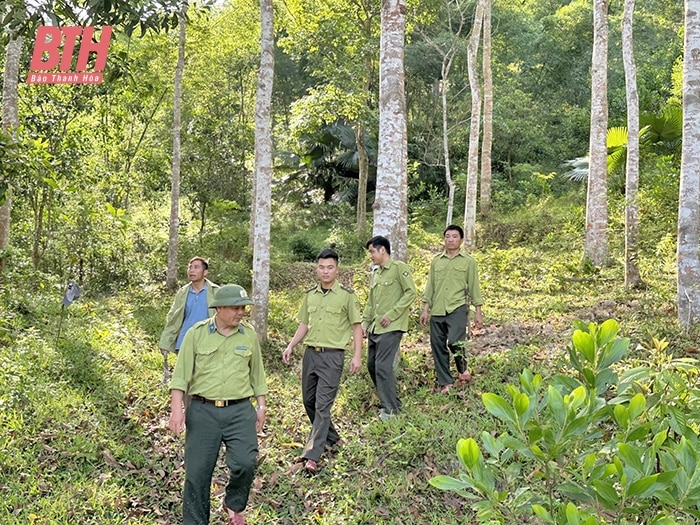 Thường Xuân: Tăng cường các giải pháp giữ vững an ninh rừng