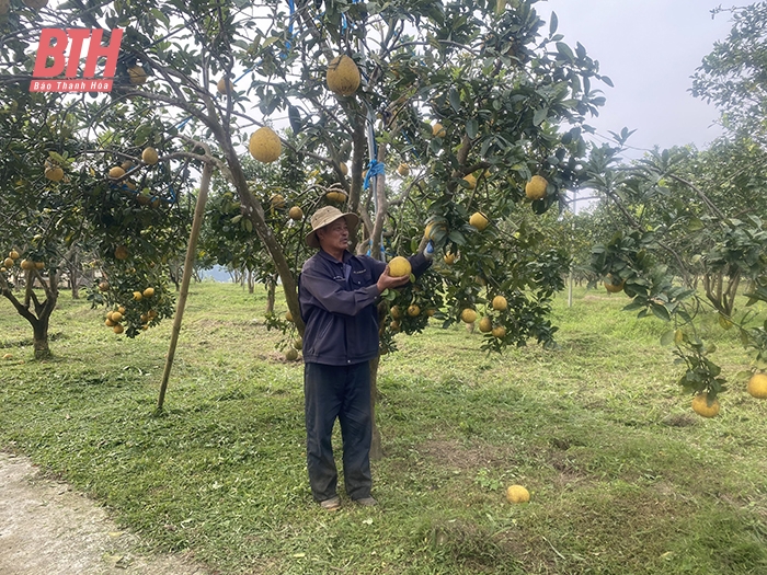 Phát triển nông nghiệp hữu cơ: Thuận lợi và thách thức