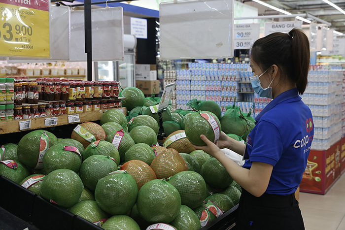 Thương mại dịch vụ phát triển nhanh và ổn định