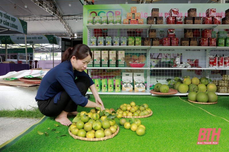 Sẵn sàng cho Hội nghị kết nối cung - cầu và trưng bày giới thiệu sản phẩm nông sản thực phẩm an toàn tỉnh Thanh Hóa năm 2023