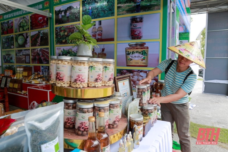 Sẵn sàng cho Hội nghị kết nối cung - cầu và trưng bày giới thiệu sản phẩm nông sản thực phẩm an toàn tỉnh Thanh Hóa năm 2023