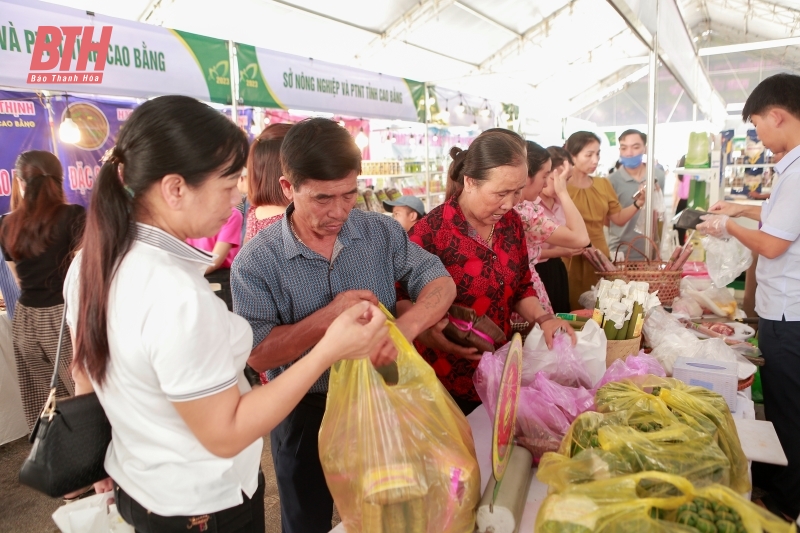 Hội tụ các sản phẩm nông nghiệp, sản phẩm OCOP