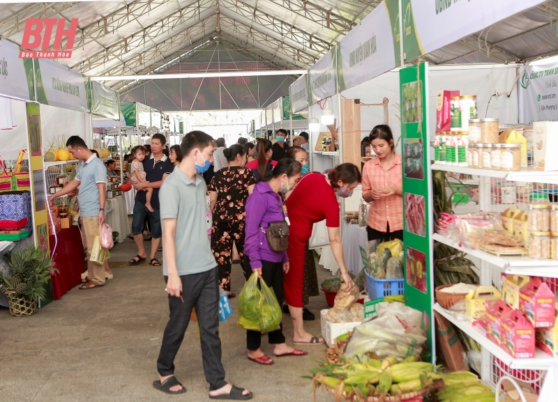 Hội tụ các sản phẩm nông nghiệp, sản phẩm OCOP