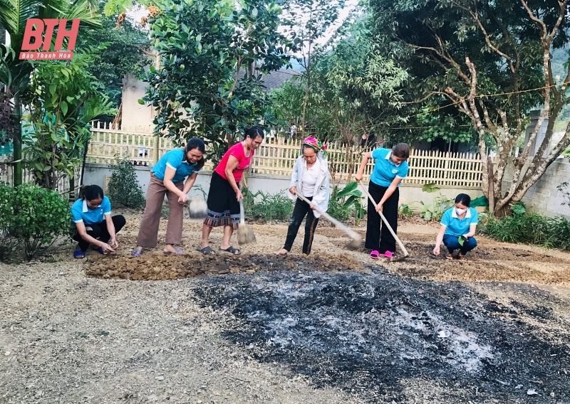 Gần 200 hộ triển khai thực hiện mô hình “vườn rau xanh tại hộ gia đình”