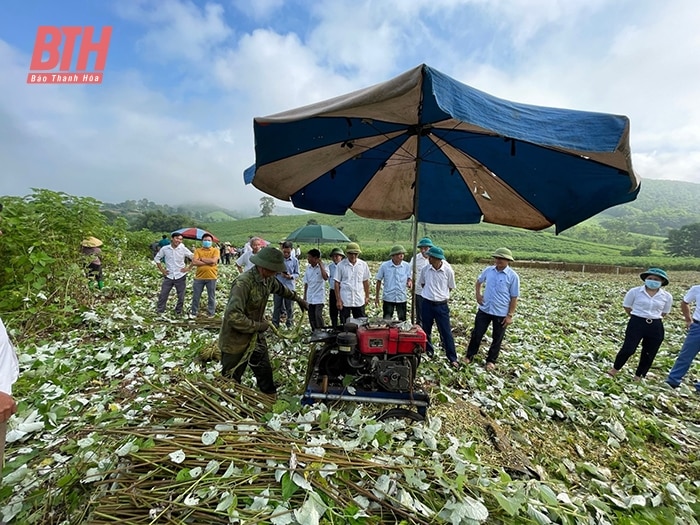 Giải ngân vốn Chương trình MTQG giảm nghèo bền vững: Liệu có kịp về đích? (Bài cuối): Khơi “điểm nghẽn” để “chạy nước rút”