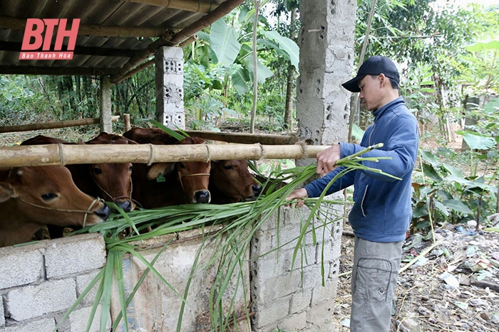 Giải ngân vốn Chương trình MTQG giảm nghèo bền vững: Liệu có kịp về đích? (Bài 2): “Lỗi” chính sách hay do con người?