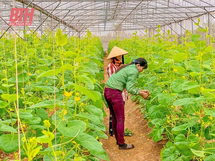 Nhiều giải pháp đẩy mạnh ứng dụng khoa học công nghệ vào sản xuất nông nghiệp