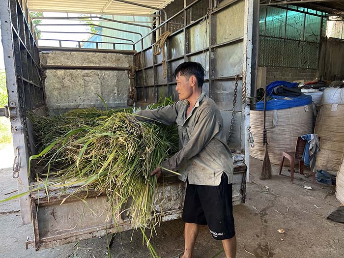 Phòng, chống đói, rét cho đàn vật nuôi