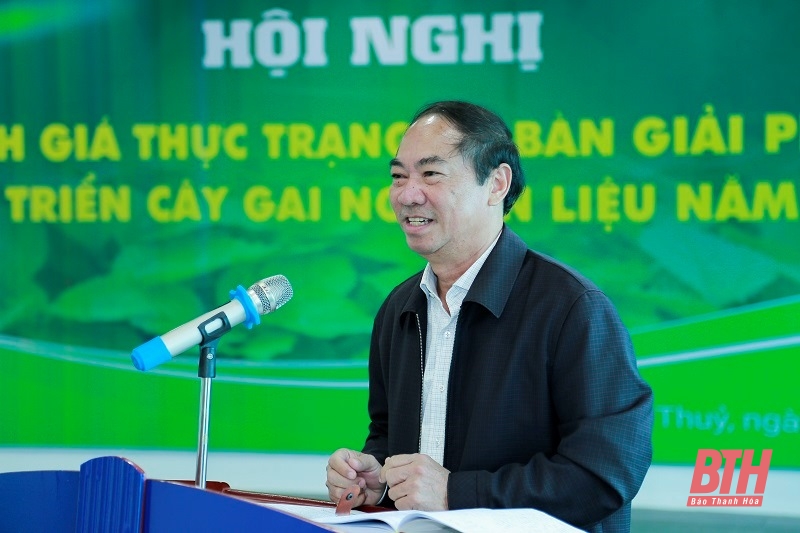 Bàn giải pháp phát triển cây gai nguyên liệu năm 2024