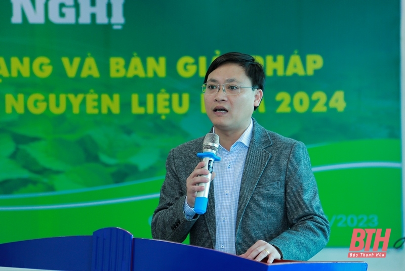 Bàn giải pháp phát triển cây gai nguyên liệu năm 2024