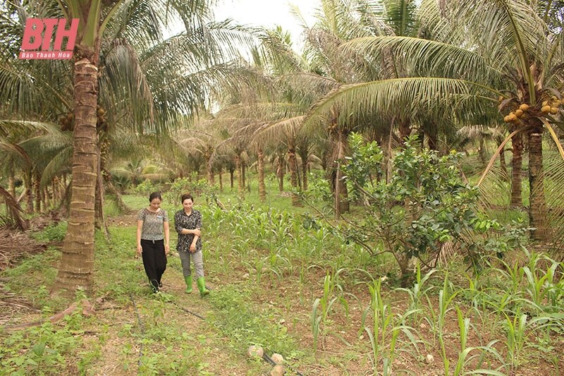 Cẩm Thủy đưa công tác giảm nghèo đi vào thực chất, hiệu quả