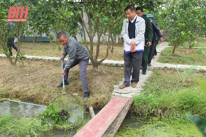 Phát triển vườn hộ ở các xã nông thôn mới nâng cao