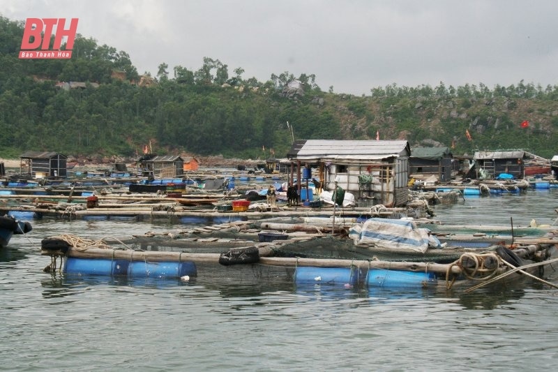 Thực hiện các biện pháp phòng chống rét trong nuôi trồng thủy sản