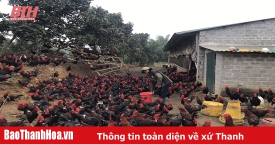 Phát triển kinh tế nâng cao thu nhập cho người dân